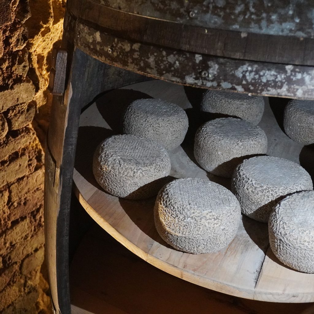 FRANZKIN formaggio franzkin