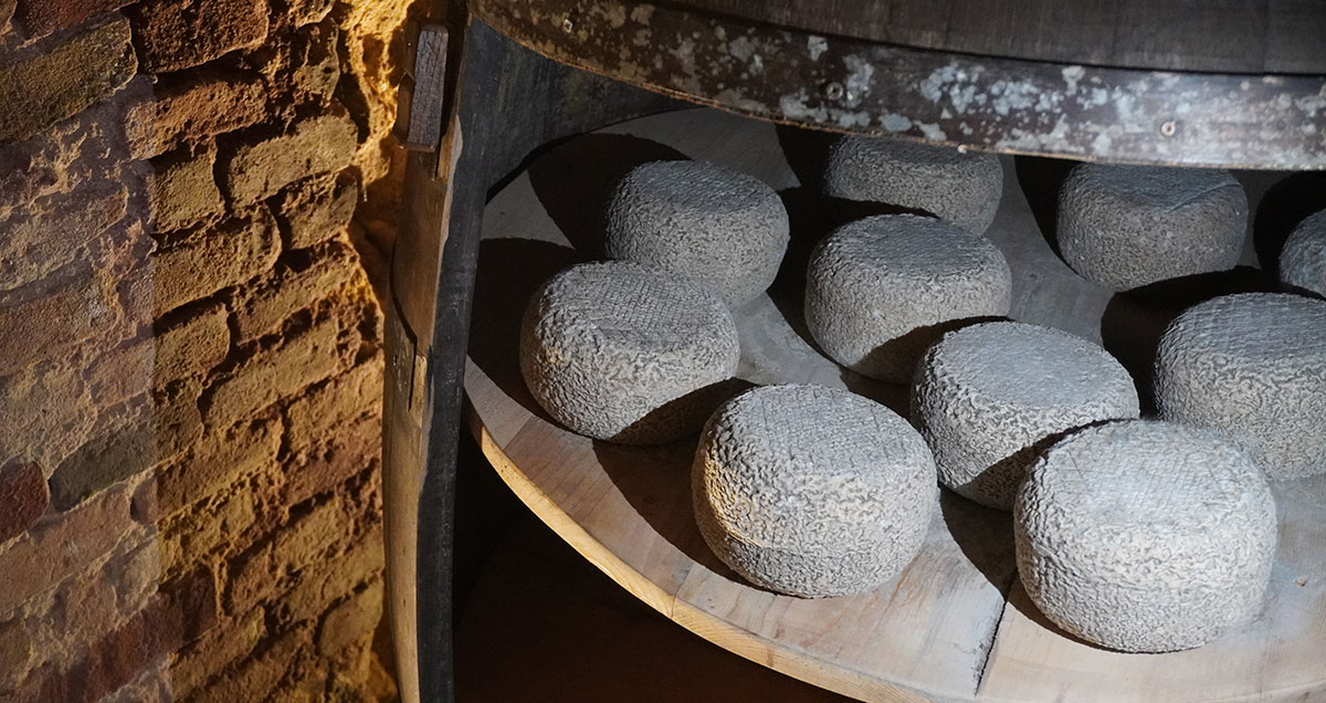 la-madia-formaggi-5 formaggio franzkin della Madia